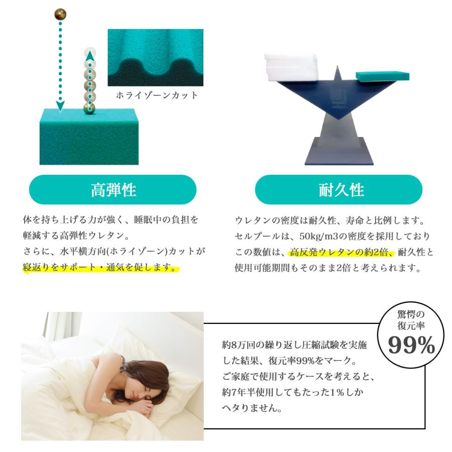 cellpur（セルプール） 首枕 ストレートネック 枕 for your neck