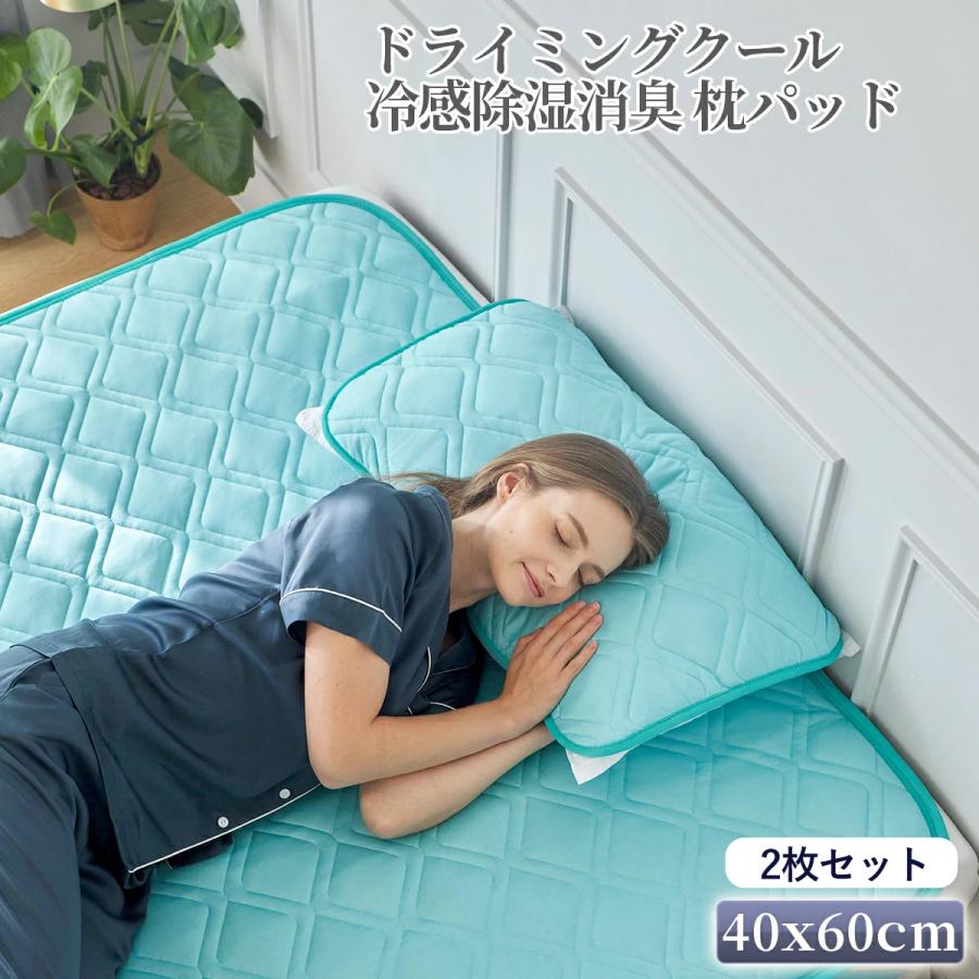 冷感除湿消臭 枕パッド 2枚セット 40x60cmドライミングクール ムレ対策 ミドル脂臭 加齢臭 ペット臭対策 Dryming