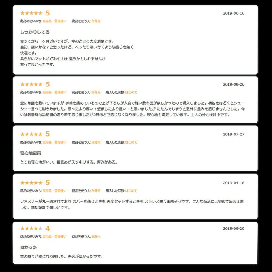 即日出荷 マットレストッパー エコラテ エリート 6cmトッパー クイーン 158x195x6cm 硬め 高反発ウレタン オーバーレイ ベッドパッド マットレスパッド Ecolatte Elite 55 以上節約 Www Thedailyspud Com