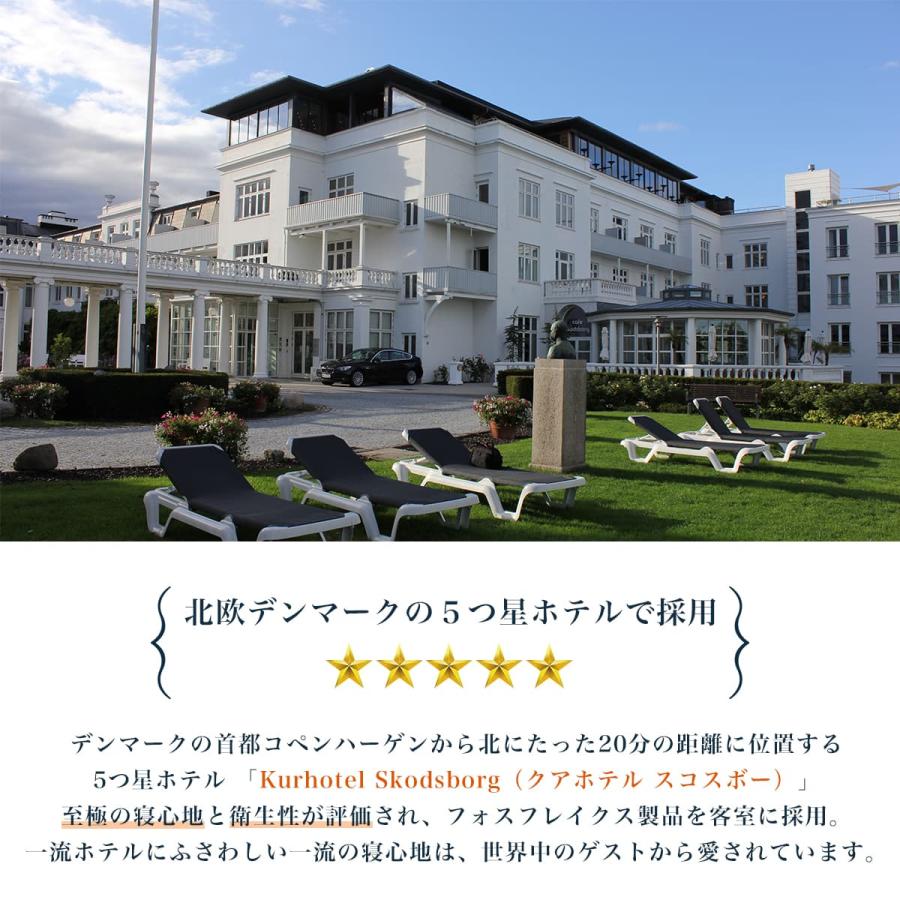 枕 まくら 約44×67cm フォスフレイクス サイレントハグピロー カバー付