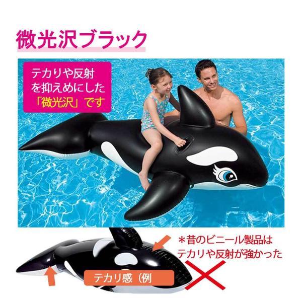 フロート フローター 浮き輪 浮き具 ビニールボート プール 海水浴
