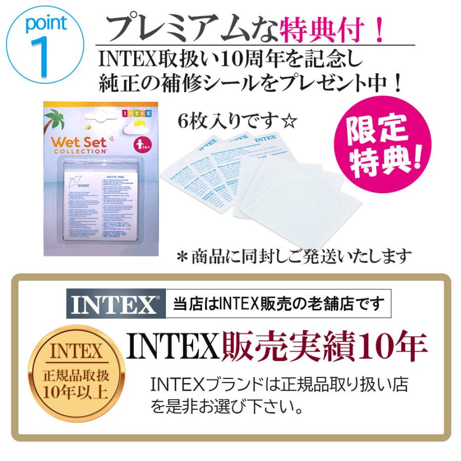 INTEX ビニールプール プール 大きい 大型 キッズ 子供 大人 人気 家庭