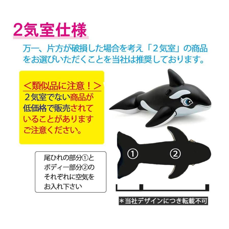 フロート フローター 浮き輪 浮き具 ビニールボート プール 海水浴