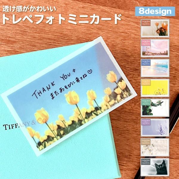 トレペフォト ミニカード メッセージカード 誕生日カード メッセージ
