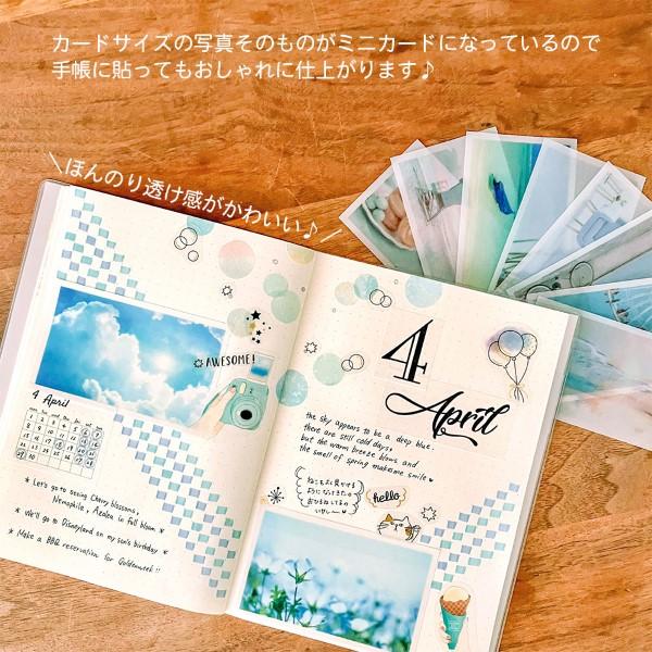 VanilLa フォトカード 誕生日 MATOKA CONFIT コンフィ 箔押しポストカード｜誕生日カード