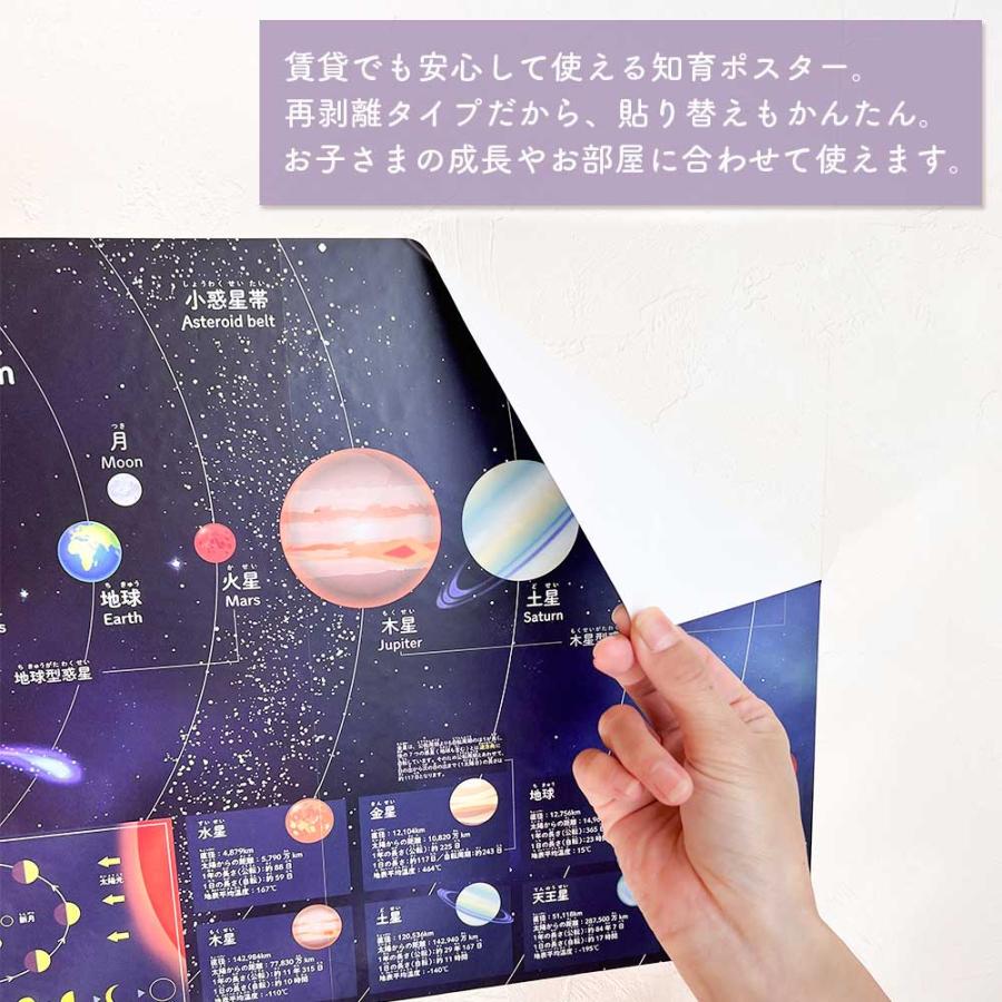 貼ってはがせる ポスターステッカー 知育ポスター おしゃれ