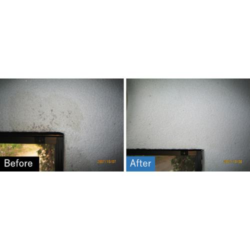 カビトーレ　300g×3本セット  送料無料 　カビの除菌・漂白洗浄剤　ビアンコジャパン　業務用洗剤 |  | 01