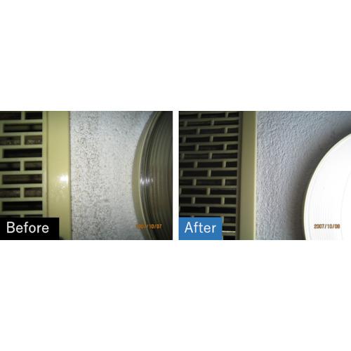 カビトーレ　300g×3本セット  送料無料 　カビの除菌・漂白洗浄剤　ビアンコジャパン　業務用洗剤 |  | 02