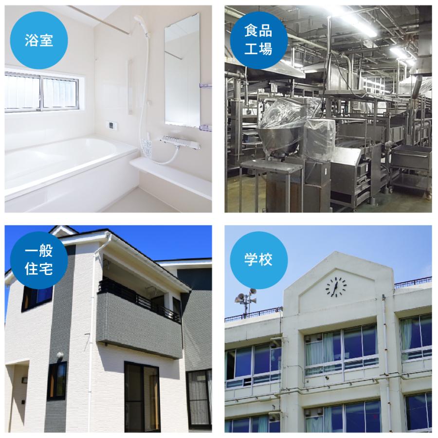 カビガードマン 500mlガンスプレー付×6本入 送料無料 防カビ剤(透明艶有) オーブテック 送料無料 業務用洗剤 簡単施工 苔防止 カビ防止 |  | 03