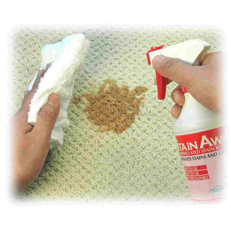 ステインアウェイ    強力    シミ取り剤  送料無料  中性洗剤    500ml×12本入        エムアイオージャパン    　業務用洗剤 |  | 02