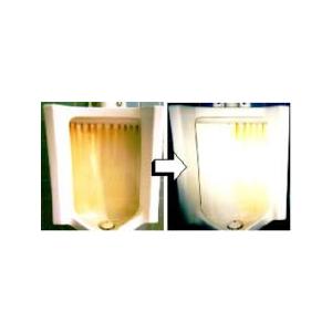 スカット５５Ｌ    陶器便器の黒すじ汚れ除去洗浄剤    １ｋｇ      パシカ    　業務用洗剤 |  | 01