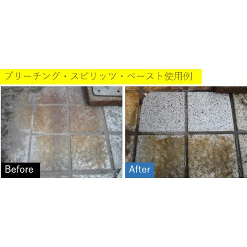 プロフェッショナルツールキット 送料無料 　環境対応型修復洗浄剤全シリーズお試しセット　ビアンコジャパン　業務用洗剤_7