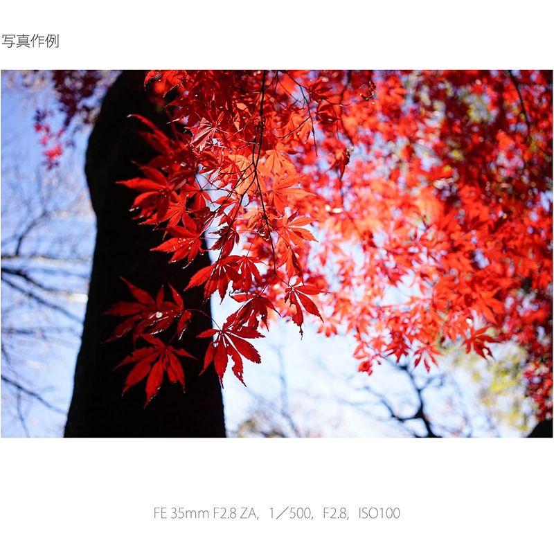 低価格ソニー 広角単焦点レンズ フルサイズ ツァイスレンズ 35mm ZA Sonnar F2.8 FE T* デジタル一眼カ 交換レンズ ソニー 広角単焦点レンズ フルサイズ Sonnar T* FE 35mm F2.8 ZA ツァイスレンズ デジタル一眼カ