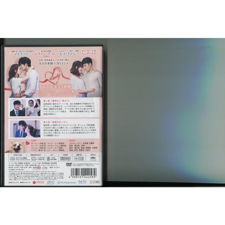 恋愛動物 Lost in the Love Jungle/全8巻セット 中古DVD レンタル落ち/マイク・ハー/ジリアン・チョン/a3416 | ブランド登録なし | 01
