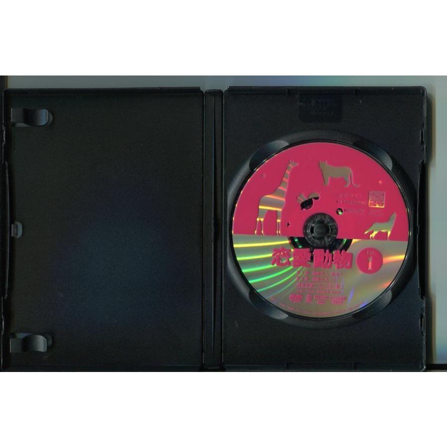 恋愛動物 Lost in the Love Jungle/全8巻セット 中古DVD レンタル落ち/マイク・ハー/ジリアン・チョン/a3416 | ブランド登録なし | 02