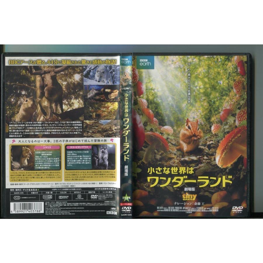小さな世界はワンダーランド 劇場版/ 中古DVD レンタル落ち/斎藤工/a6516 | ブランド登録なし