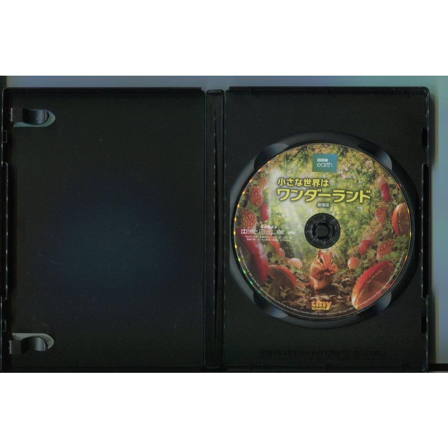 小さな世界はワンダーランド 劇場版/ 中古DVD レンタル落ち/斎藤工/a6516 | ブランド登録なし | 01