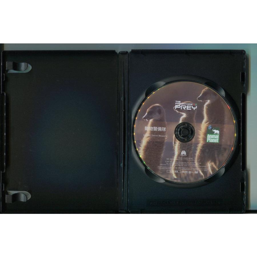 餌食になるまえに 動物警備隊/ 中古DVD レンタル落ち/a6533 | ブランド登録なし | 01