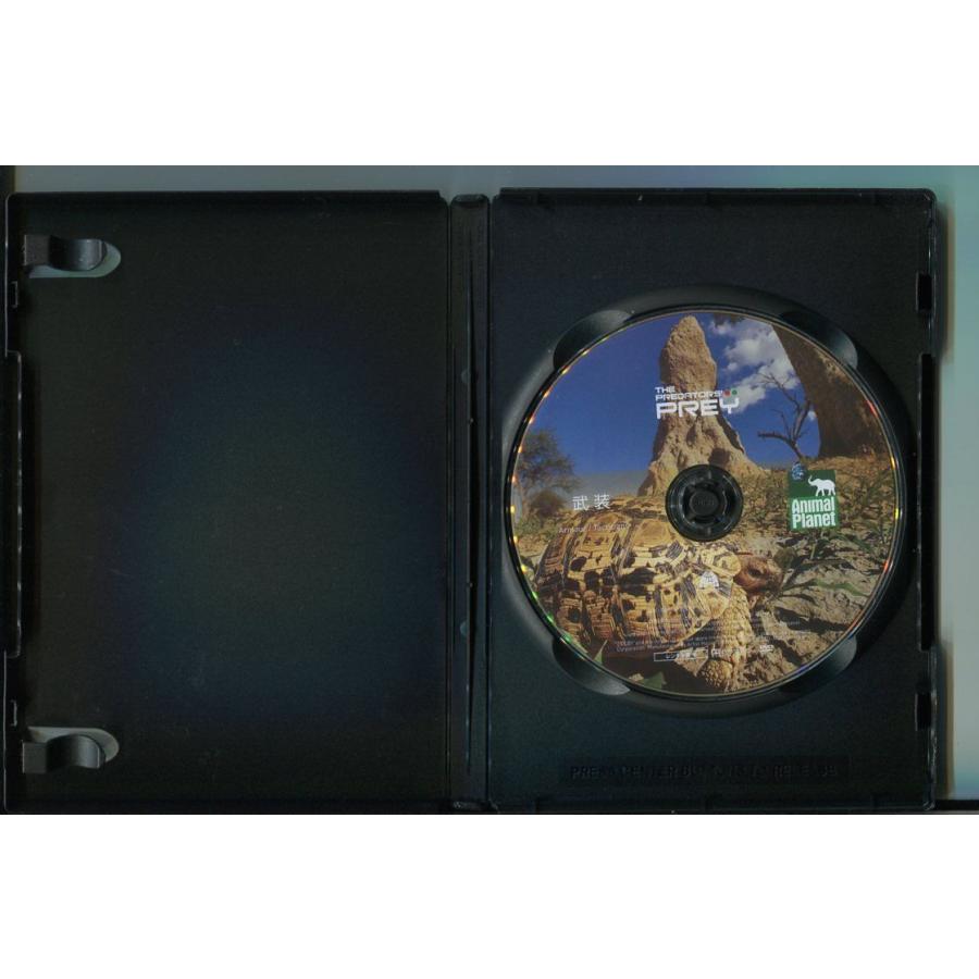 餌食になるまえに 武装/ 中古DVD レンタル落ち/a6671 | ブランド登録なし | 01