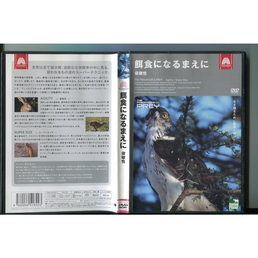 餌食になるまえに 俊敏性/ 中古DVD レンタル落ち/a6711 | ブランド登録なし