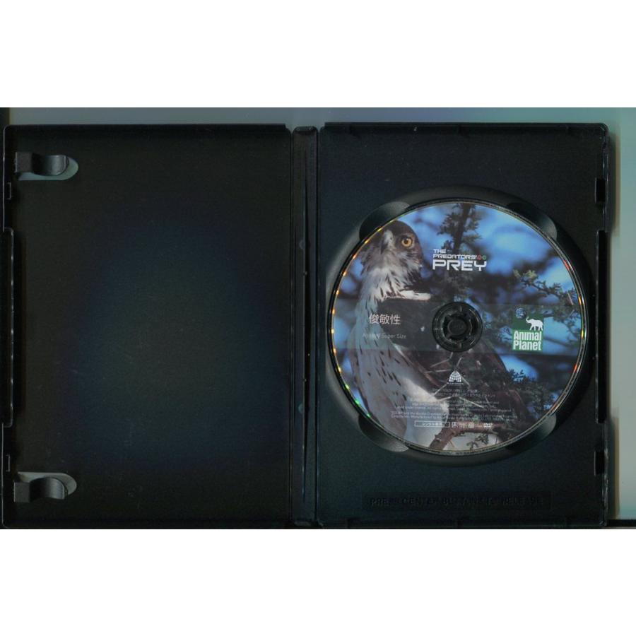 餌食になるまえに 俊敏性/ 中古DVD レンタル落ち/a6711 | ブランド登録なし | 01