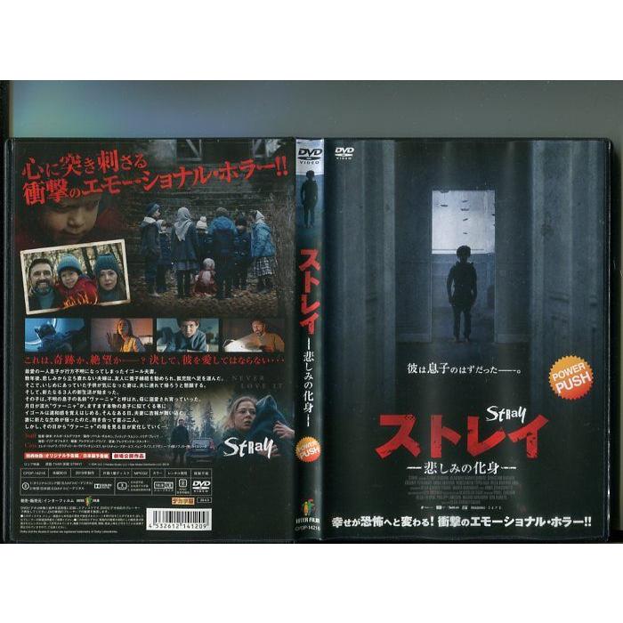 「ストレイ 悲しみの化身」 中古DVD レンタル落ち/エレナ・リャドワ/ヴラディミール・ヴドヴィチェンコフ/b0943 | ブランド登録なし
