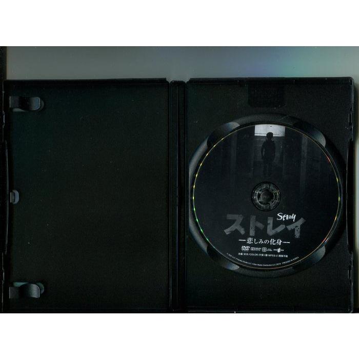 「ストレイ 悲しみの化身」 中古DVD レンタル落ち/エレナ・リャドワ/ヴラディミール・ヴドヴィチェンコフ/b0943 | ブランド登録なし | 01