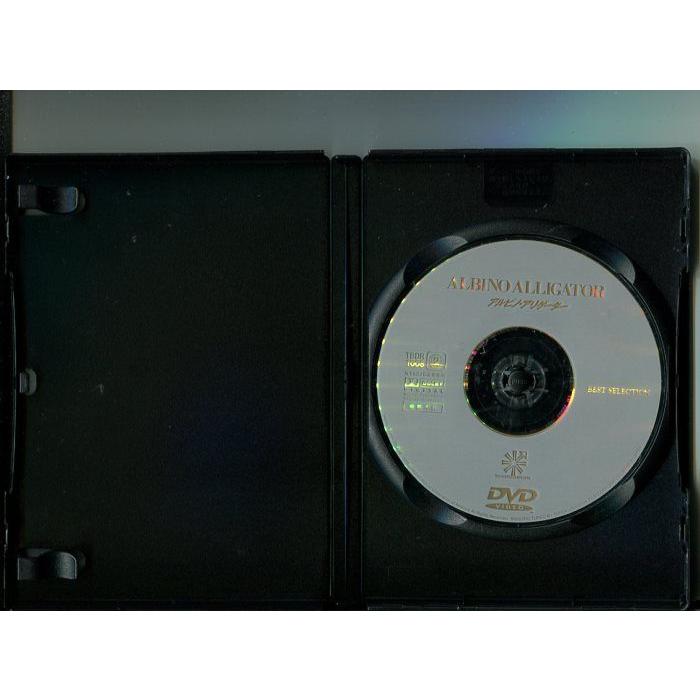 「アルビノ・アリゲーター」 中古DVD レンタル落ち/マット・ディロン/フェイ・ダナウェイ/b2033 | ブランド登録なし | 01