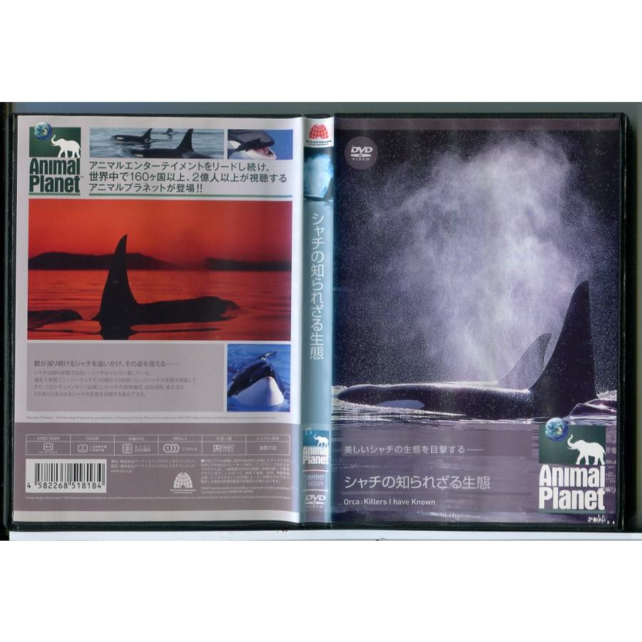 アニマル・プラネット シャチの知られざる生態/DVD 中古 レンタル落ち