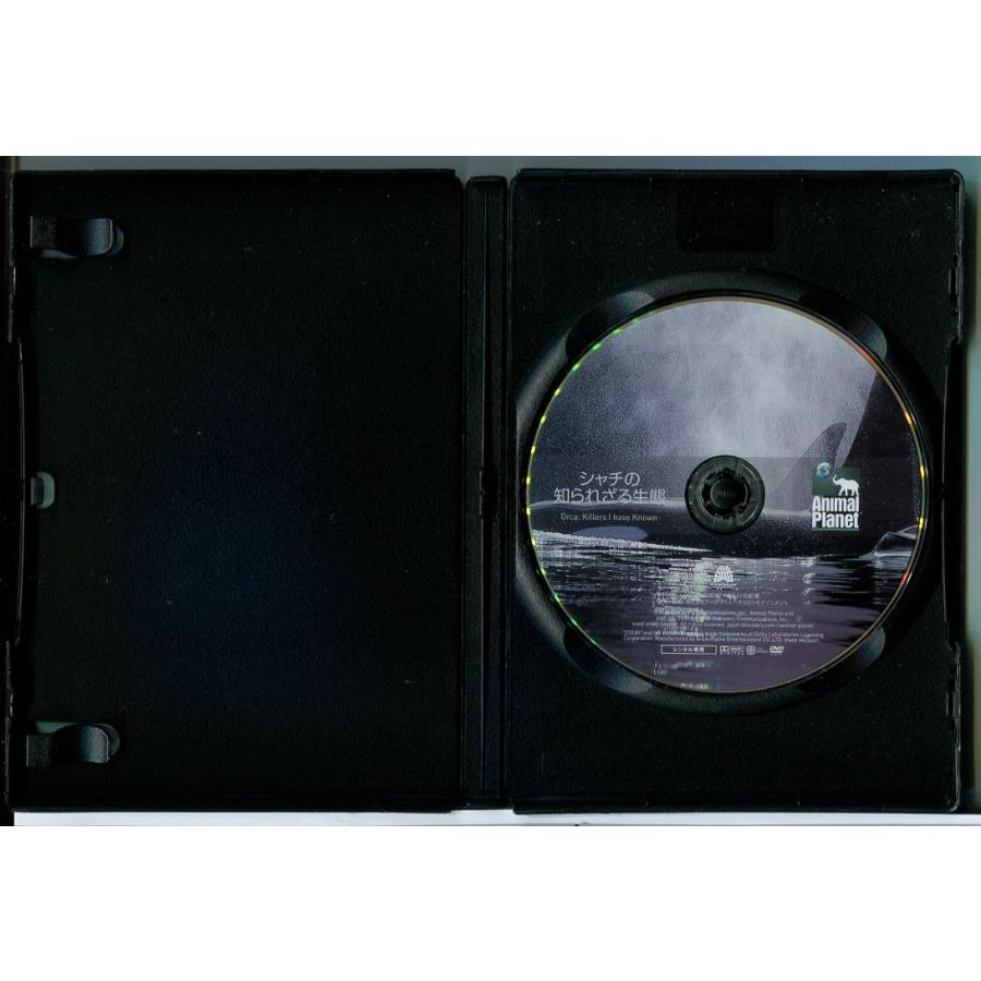 アニマル・プラネット シャチの知られざる生態/DVD 中古 レンタル落ち