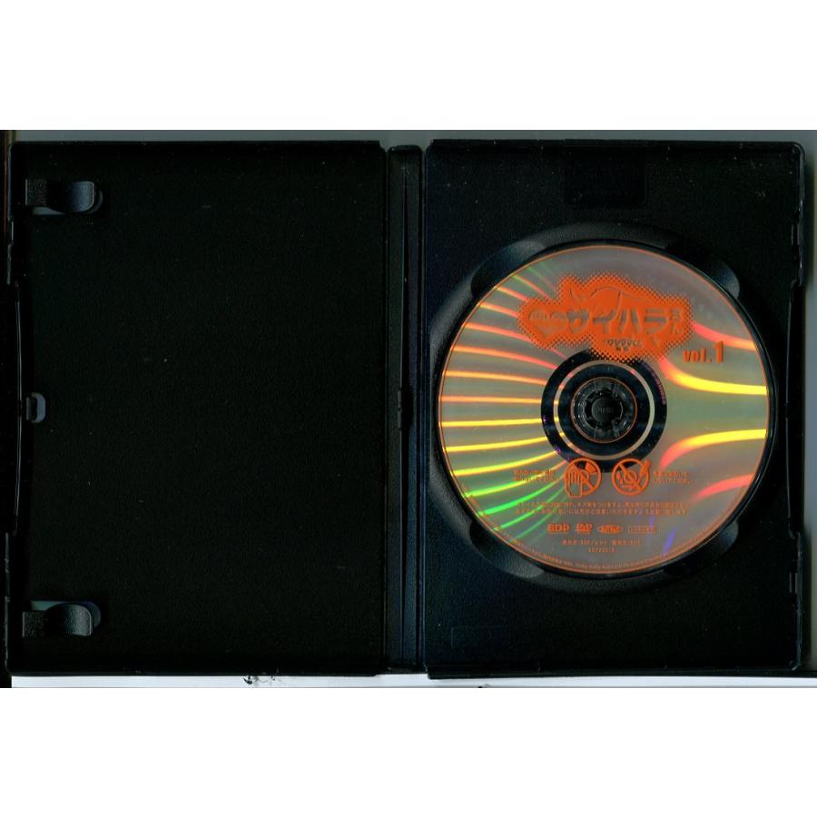 DVD　闇金サイハラさん　全4巻　高橋メアリージュン Amazon.co.jp: 闇金ウシジマくん外伝 闇金サイハラさん 全4巻セット