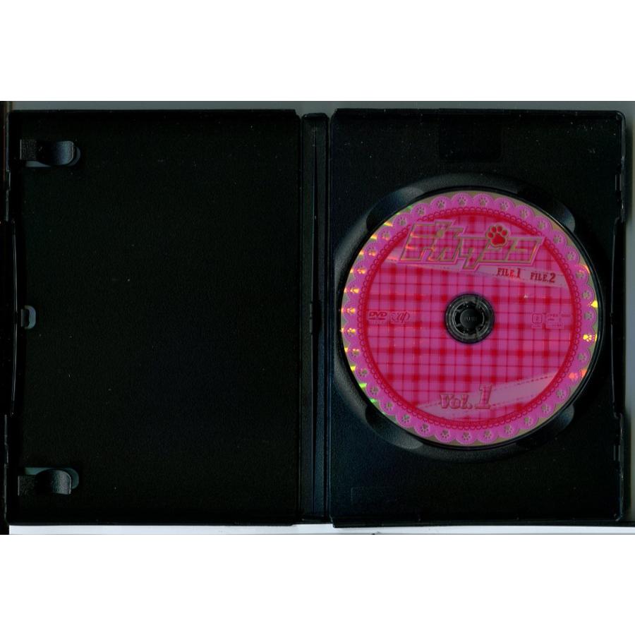 美品 デカワンコ DVD-BOX〈6枚組〉＆デカワンコSP セット 新品] デカワンコ DVD-BOX (6枚組) デカワンコSP Blu-ray｜Yahoo