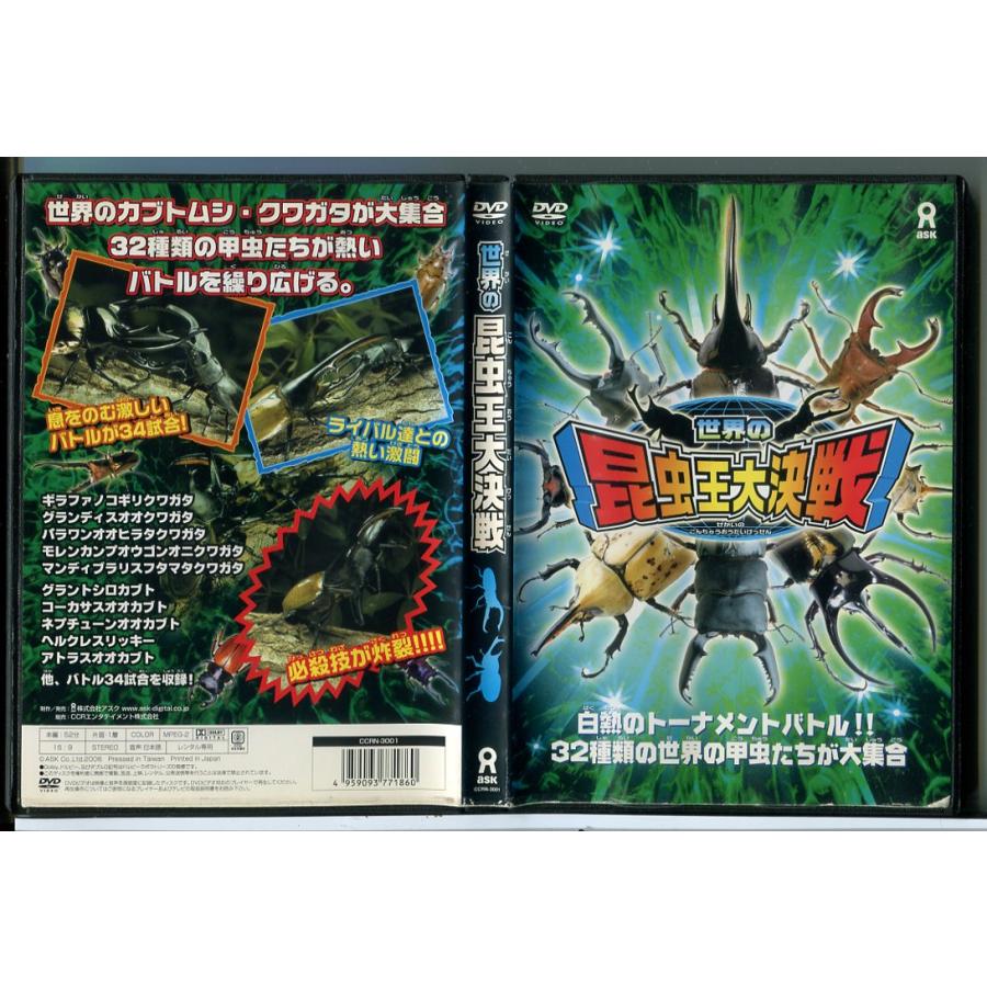 世界の昆虫王大決戦/DVD 中古 レンタル落ち/c7223 | ブランド登録なし