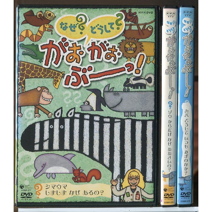NHK なぜ？どうして？がおがおぶーっ！ 全3巻セット/DVD 中古 レンタル落ち/c7239 | ブランド登録なし
