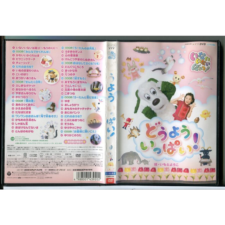 いないいないばあっ！どうよういっぱい！/DVD 中古 レンタル落ち/c7712 | ブランド登録なし