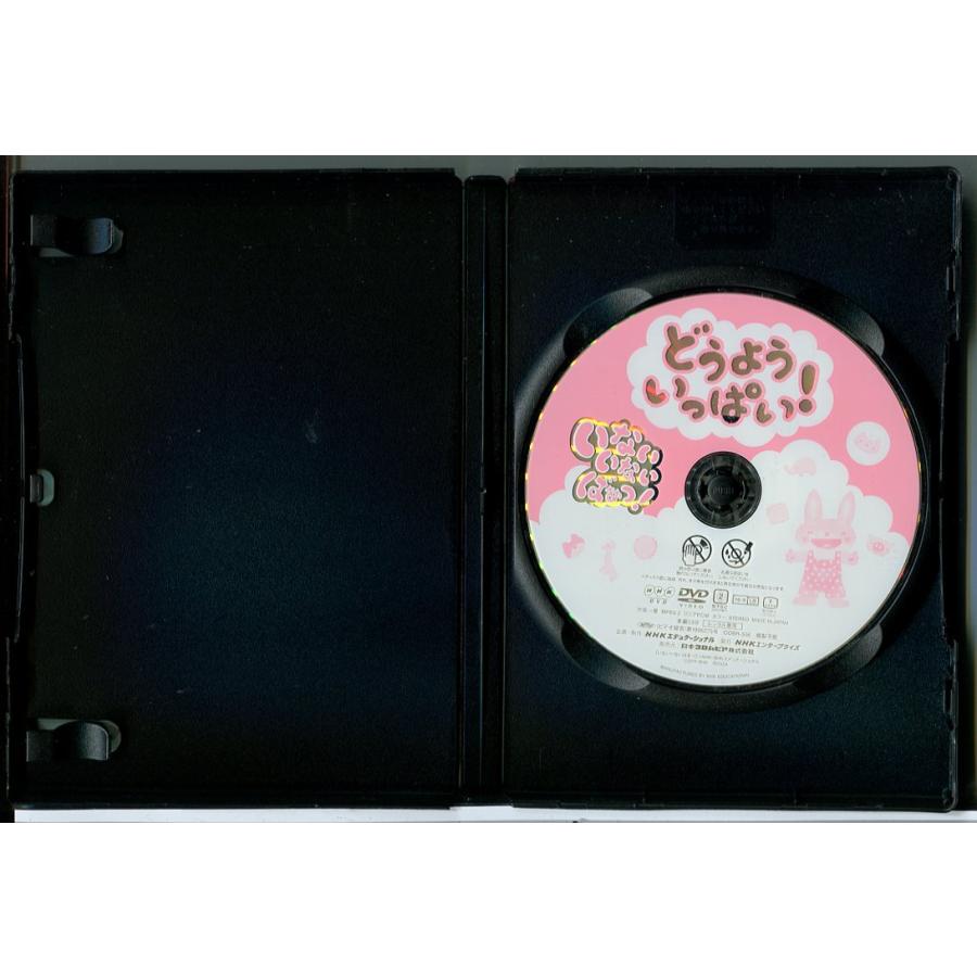 いないいないばあっ！どうよういっぱい！/DVD 中古 レンタル落ち/c7712 | ブランド登録なし | 01