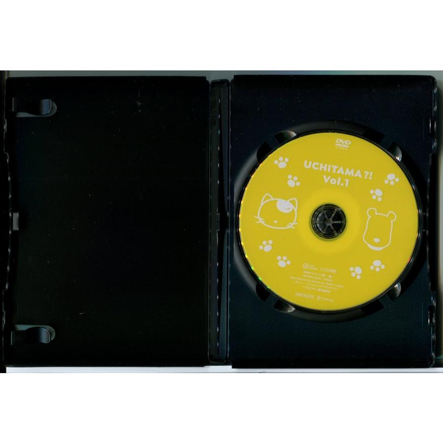 うちタマ?! うちのタマ知りませんか? 全6巻セット/DVD 中古 レンタル落ち/c8897 | ブランド登録なし | 01