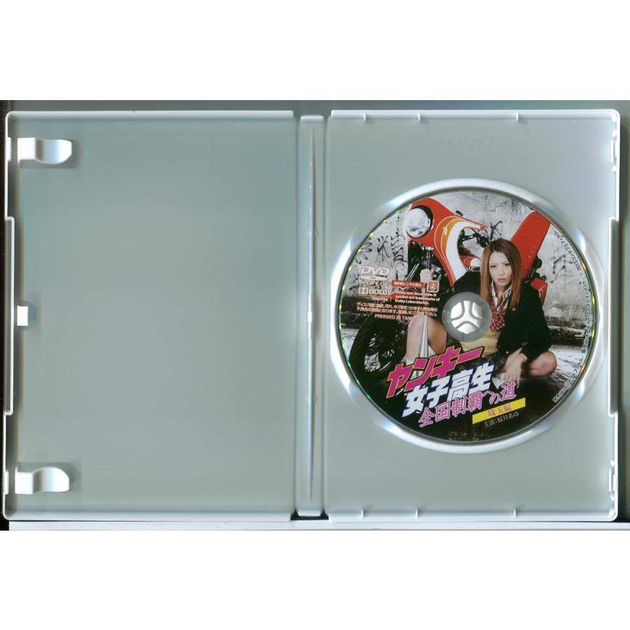 ヤンキー女子高生 全国制覇への道 (埼玉編・千葉編) 2巻セット/DVD 中古 レンタル落ち/桜井あゆ/安城アンナ/c9803 | ブランド登録なし | 02
