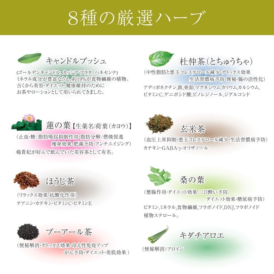 ビューティーサポート茶 プリティ デトックス ダイエット ティ 便秘