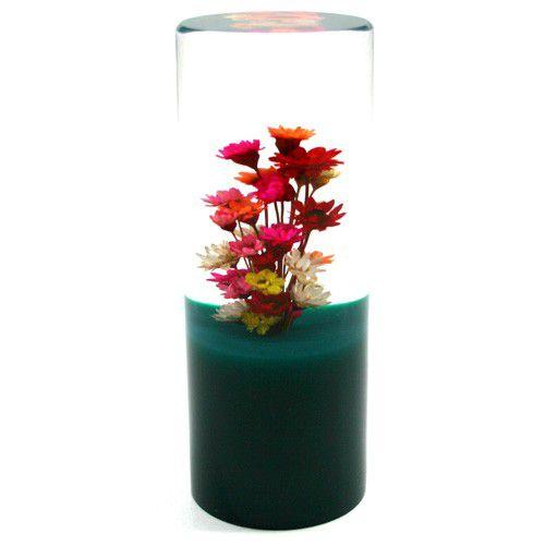 水中花ノブ |  | 01