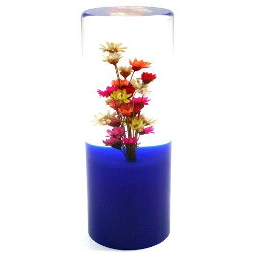 水中花ノブ |  | 02