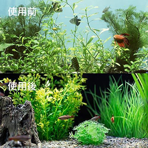 Dajiang 水槽 スクレーパー プロレイザー 苔 コケ取り ゴミ取り 苔スクレーパー 掃除 65cm クリーナー ステンレス 替え刃10枚 付き A B08dycb48h 2306 ヴィレッジアップyahoo 店 通販 Yahoo ショッピング