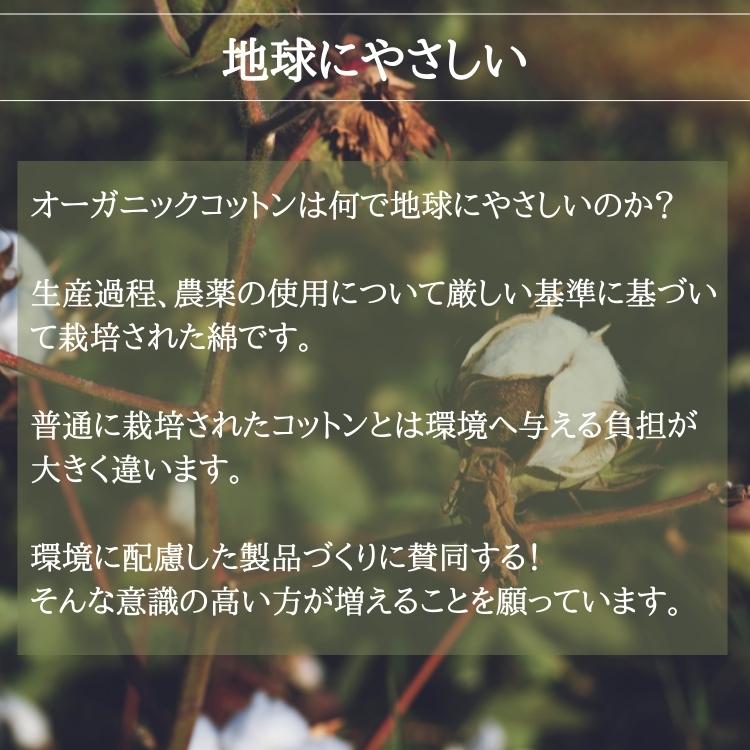 北欧 デンマーク おしゃれ ポーチ 化粧ポーチ バッグインバッグ レディースポーチ 洗える (ASPEGREN Denmark) アスペグレン |  | 09