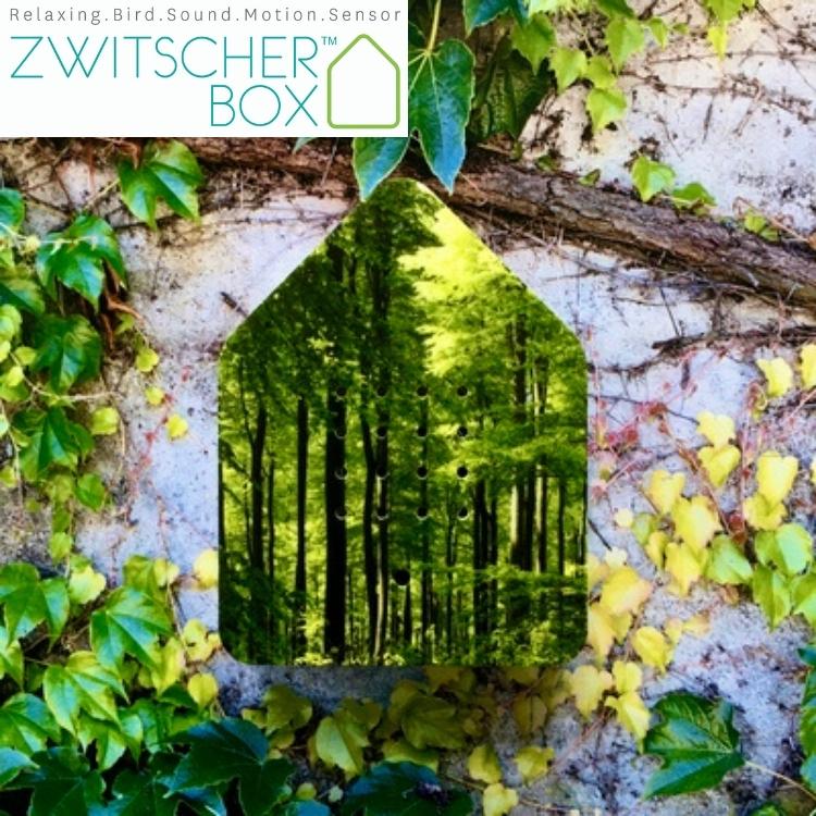 インテリア雑貨 おしゃれ ドイツ オブジェ 置物 癒し ヒーリング リラックス リラクサウンド (Zwitscherbox) ツヴィッチャーボックス Special Edition ギフト |  | 10