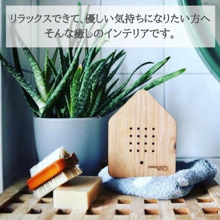 新品 未使用 インテリア 小鳥 鳥 インテリア小物 インテリア雑貨 おしゃれ 小鳥のさえずり メロディーボックス ドイツ