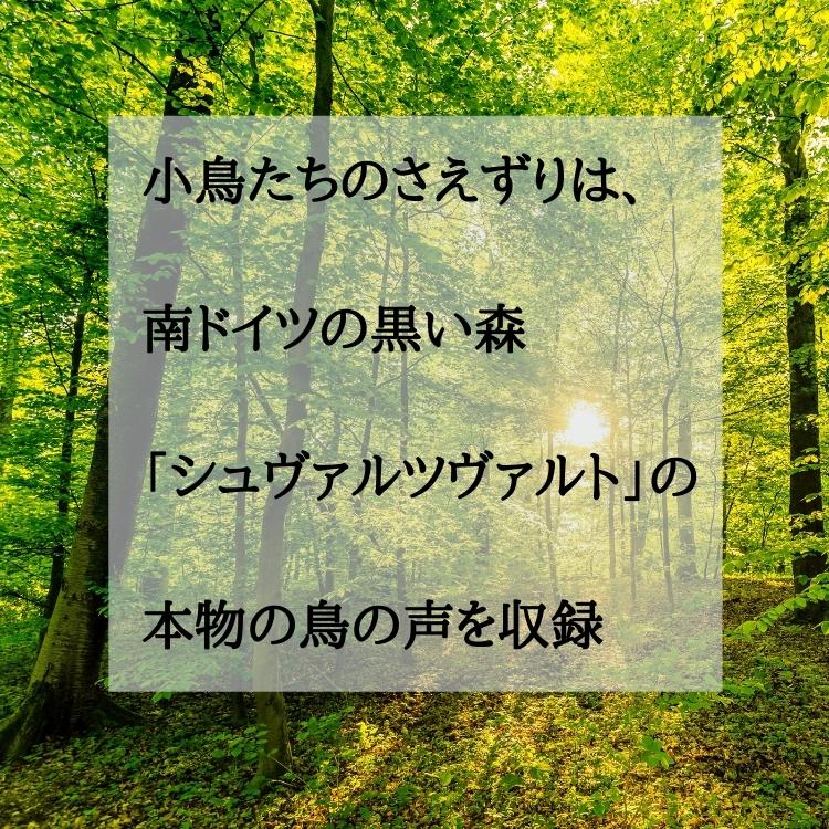 インテリア雑貨 おしゃれ 小鳥のさえずり メロディーボックス ドイツ オブジェ 置物 Zwitscherbox ツヴィッチャーボックス ウッド wood リラクサウンド ギフト |  | 05
