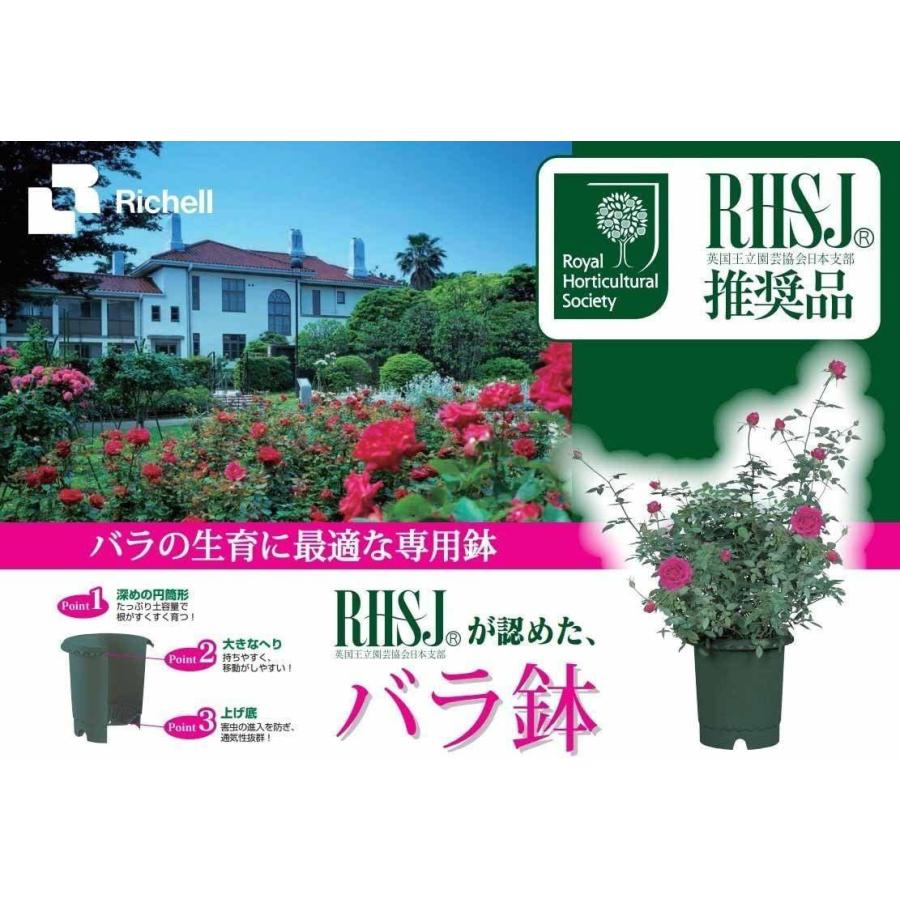 品数豊富 リッチェル バラ鉢 6号 ダークグリーン Rmb Com Ar