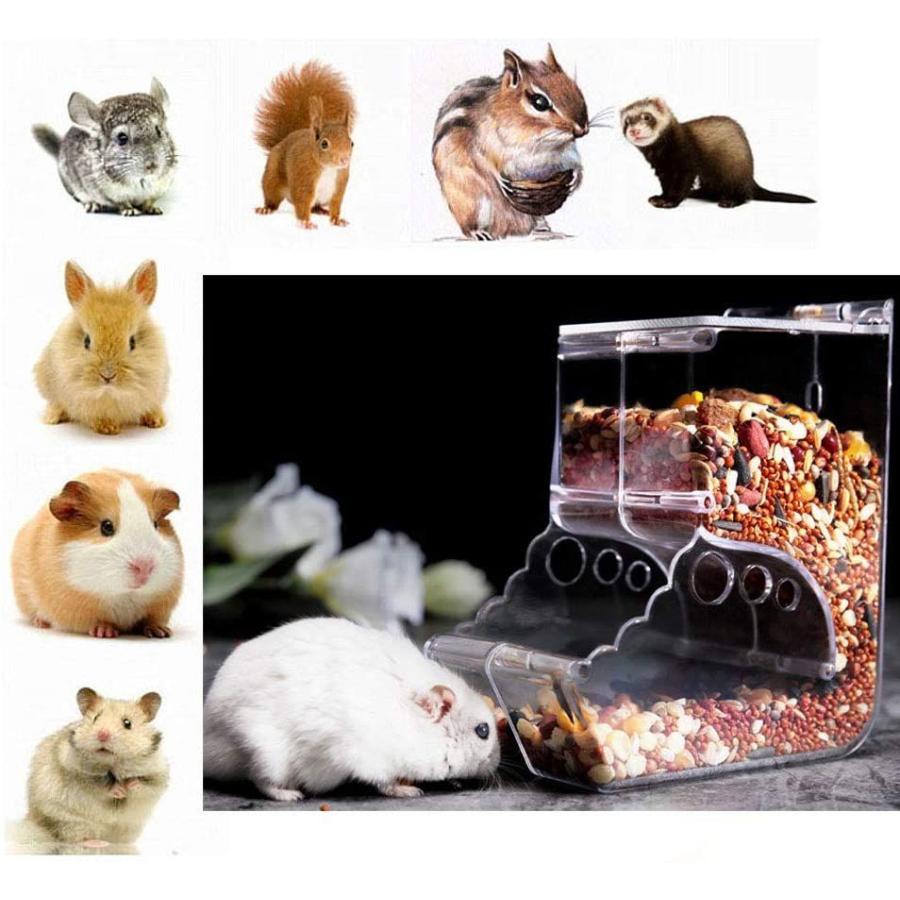 New限定品 安全箸 ハムスター 16 5ｃｍ ブルー ピンク Discoversvg Com