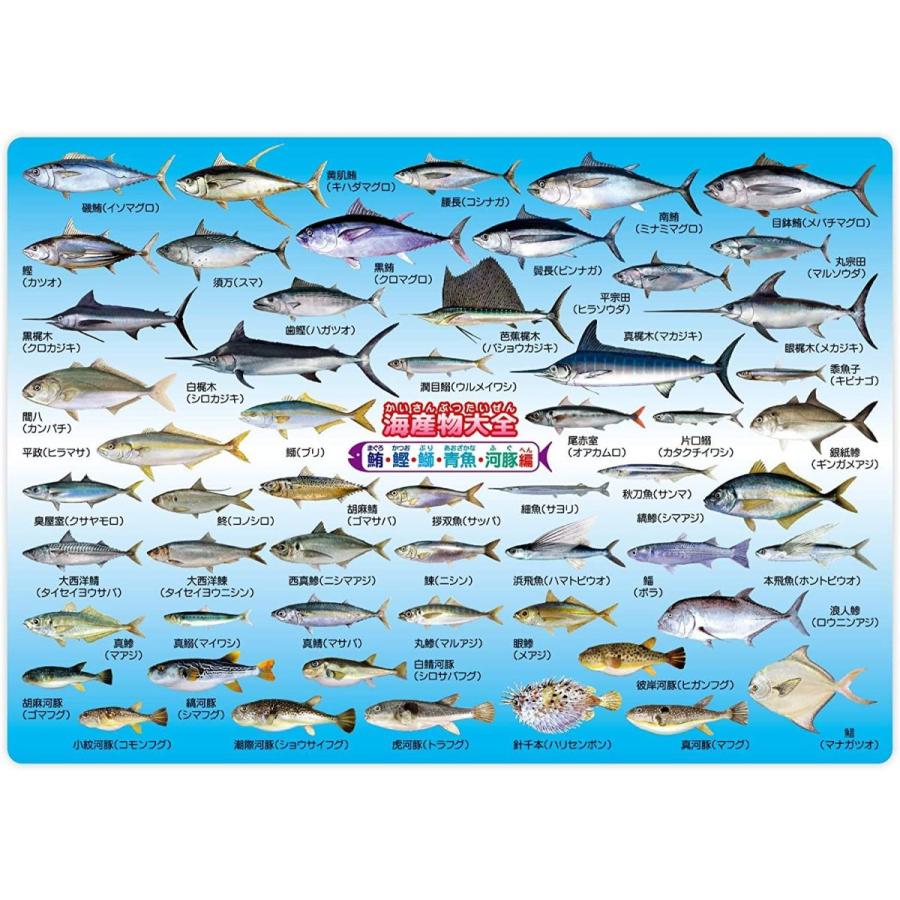 ザ アクセス 図鑑 下敷き 海産物大全 鮪 鰹 鰤 青魚 河豚編 Pink Store 通販 Yahoo ショッピング