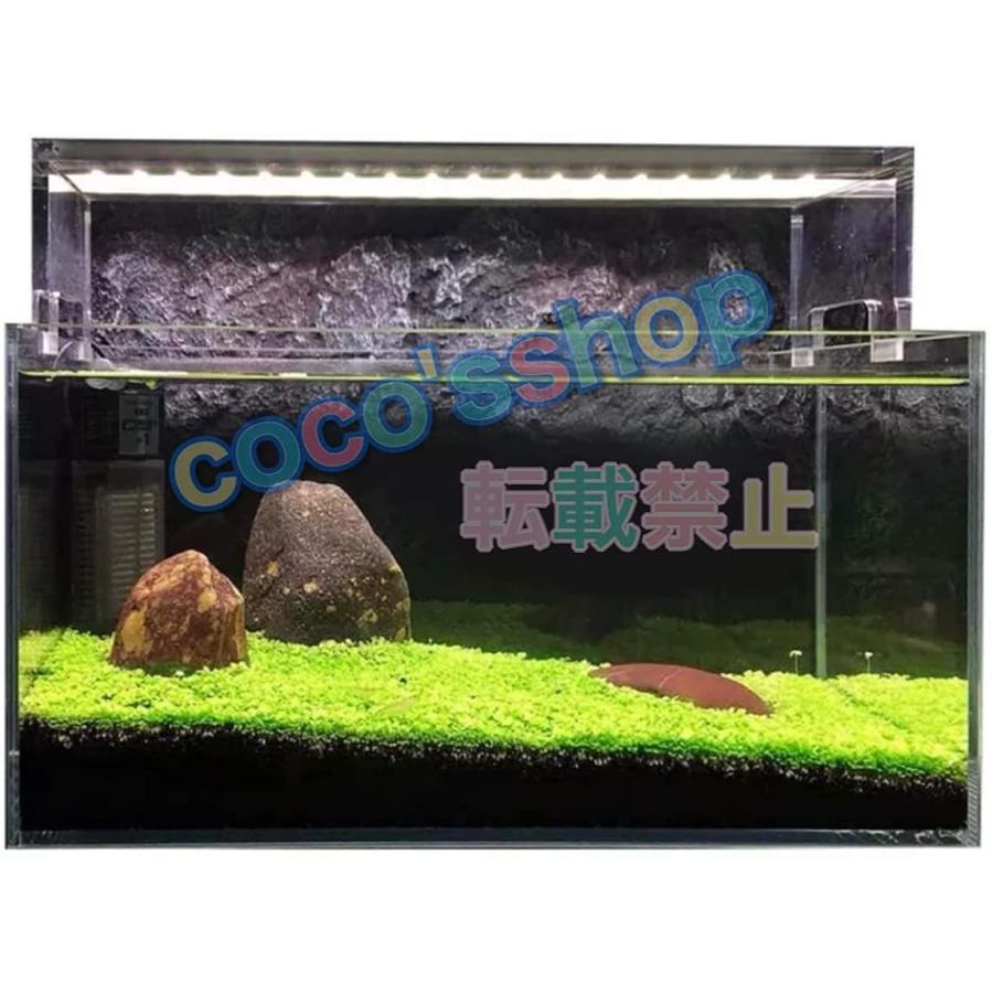 水草の種 3種類 3袋セット パールグラス系 小双葉 Loveグラス ハート葉 ヘアーグラス 種から育てる水草の種 育成簡単 水草の絨毯 Pink Store 通販 Yahoo ショッピング